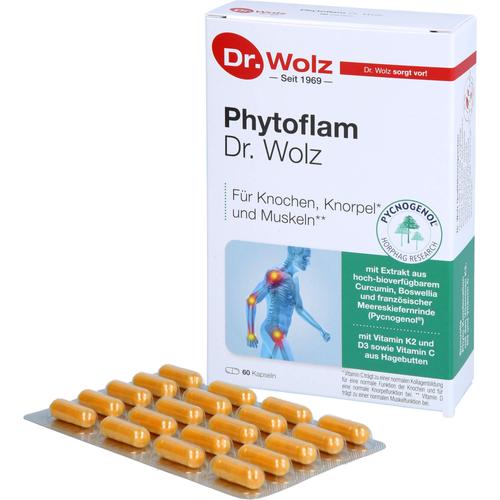 Phytoflam Dr. Wolz 60 St Dr. Wolz Zell bei onfy.de kaufen 18084664