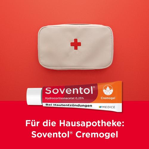 Soventol HydroCortisonACETAT 0.25% bei Hautentzündungen  20 g MEDICE Arzneimittel Pütter bei onfy.de kaufen 10714373