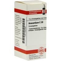 Anacardium C30 null