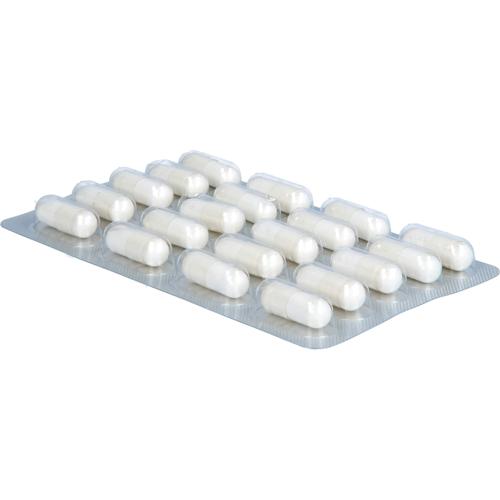 Glycowohl Magnesium 400 mg Hochdosiert Vegan 200 St Heilpflanzenwohl bei onfy.de kaufen 19404504