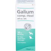 Galium Comp Heel Ad Us Vet null