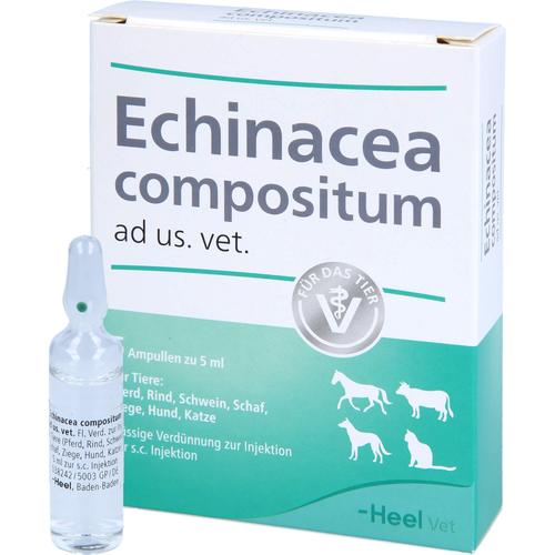 Echinacea Comp Ad Us Vet 5 St Biologische Heilmittel Heel Gmbh bei onfy.de kaufen 04749479