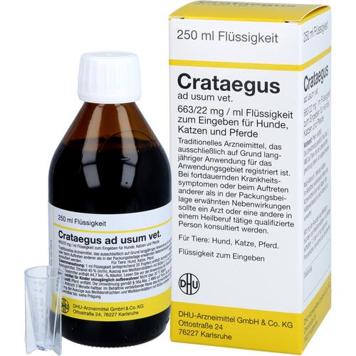 Crataegus Ad Usum Vet 250 ml Dhu-Arzneimittel Gmbh & Co. Kg bei onfy.de kaufen 02728243