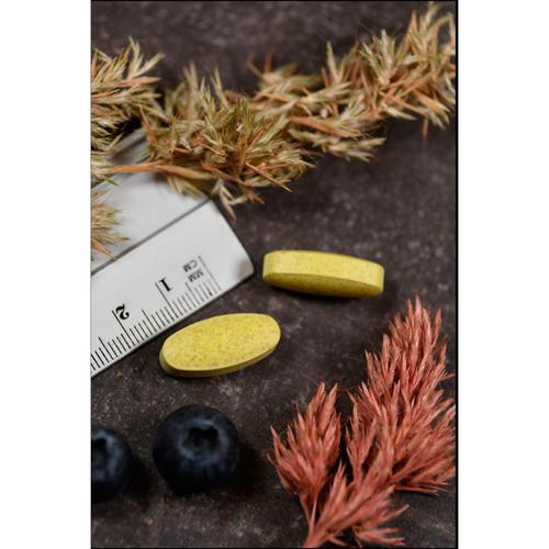 Quercetin 1000 mg Kal 60 St Supplementa bei onfy.de kaufen 16801877