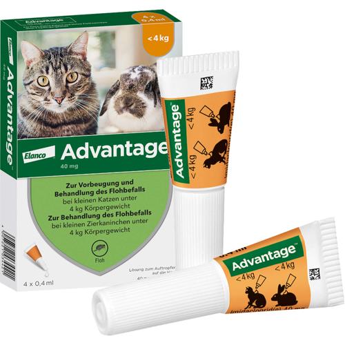 Advantage 40mg Katz+Zierka 4x0.4 ml Elanco Deutschland Gmbh bei onfy.de kaufen 09670096