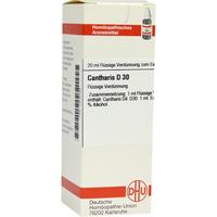 Cantharis D30 null