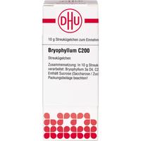 Bryophyllum C200 null