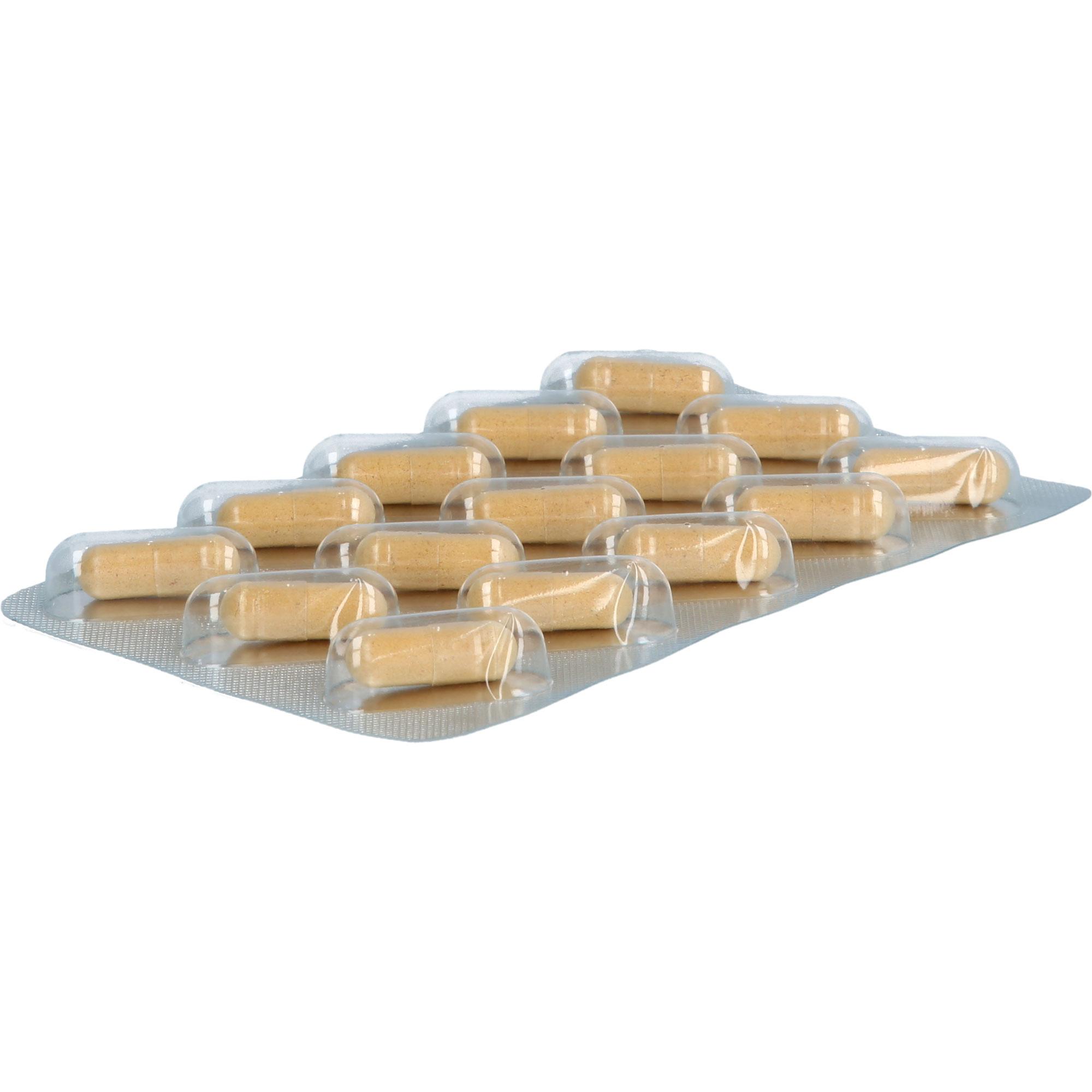 Silymarine Mariendistel Leber-Vital-Kapseln Plus 60 St Hansa Naturheilmittel bei onfy.de kaufen 20054475