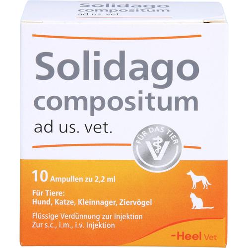 Solidago Comp Ad Us Vet 10 St Biologische Heilmittel Heel Gmbh bei onfy.de kaufen 01219864