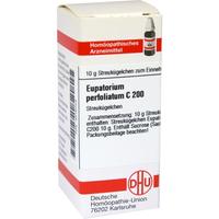 Eupatorium Perf C200 null