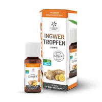 Ingwer Ginjer Forte Tropfen null