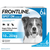 Frontline Spot On H 20 Vet