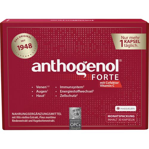 Anthogenol Forte Masquelier Original Opc 30 St CMP bei onfy.de kaufen 18879151