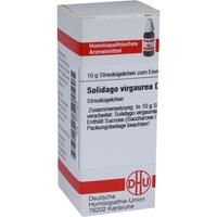 Solidago Virga D 1 null