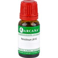 Penicillinum Lm 11 null