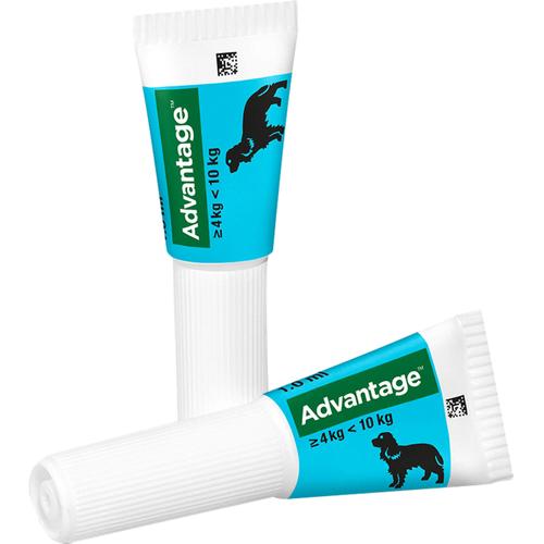Advantage 100 Hund 4 St Elanco Deutschland Gmbh bei onfy.de kaufen 08613311