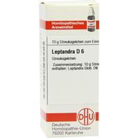 Leptandra D 6 null