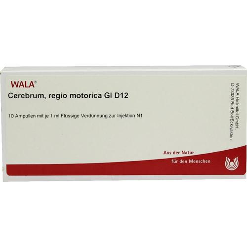 Cerebrum Regio Moto Gl D12 10x1 ml WALA Heilmittel bei onfy.de kaufen 04616488