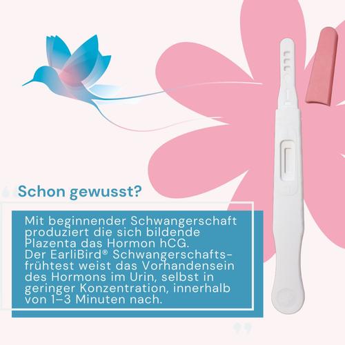 Earlibird Ultrafrüh Schwangerschaftstest 1 St Hager Pharma bei onfy.de kaufen 19432357