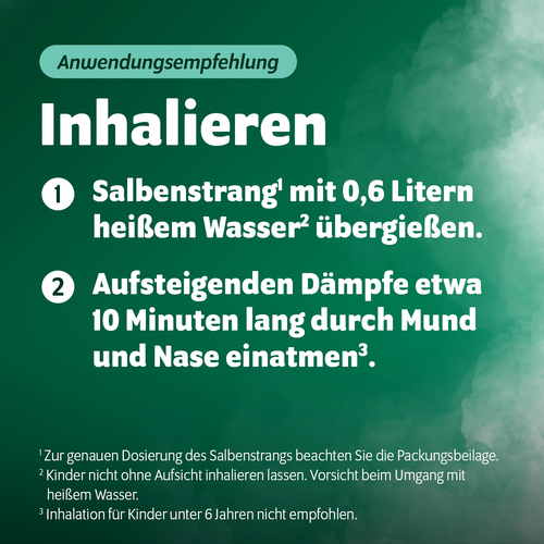 Bronchoforton Salbe 100 g STADA Consumer Health Deutschland bei onfy.de kaufen 07269952