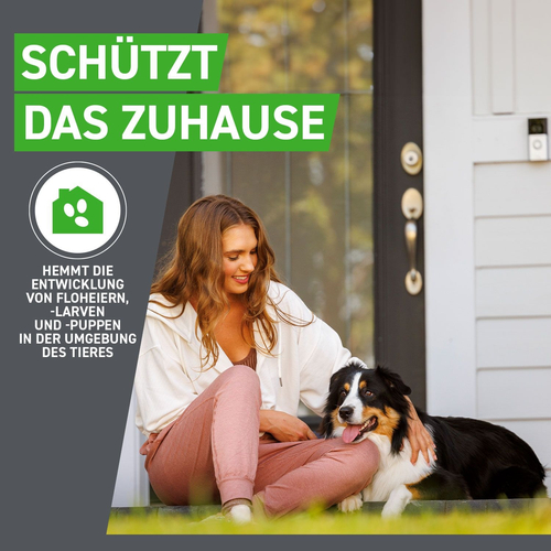 Frontline Combo Spo Hund L 3 St Boehringer Ingelheim Vetmedica Gmbh bei onfy.de kaufen 17558605