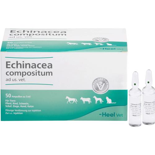 Echinacea Comp Ad Us Vet 50 St Biologische Heilmittel Heel Gmbh bei onfy.de kaufen 04749485