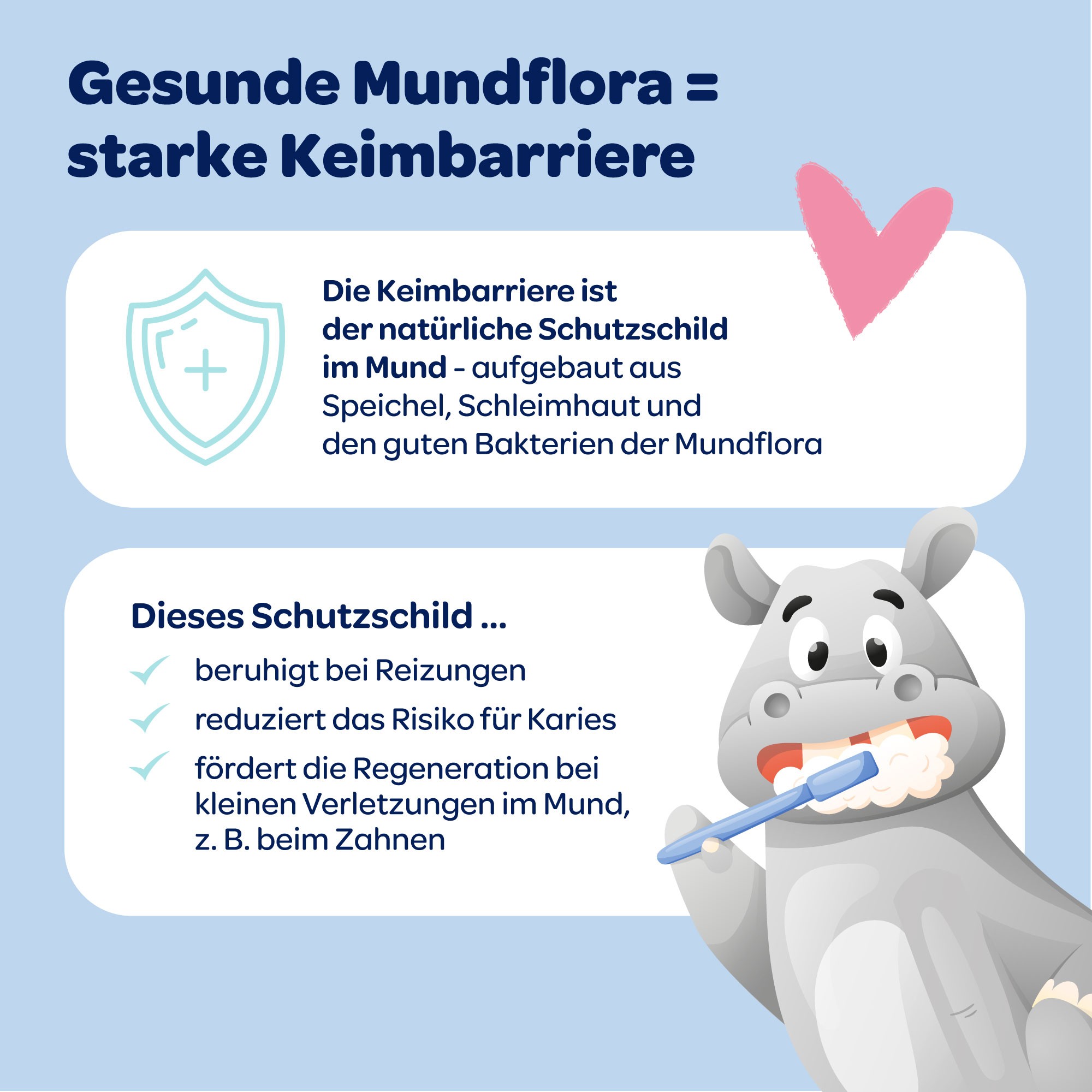 Dentinox Zahncreme Mundflora Baby 30 ml Dentinox Gesellschaft für pharmazeutische Präparate bei onfy.de kaufen 19401368