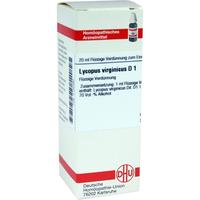 Lycopus Virg D 1 null