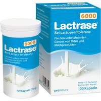 Lactrase 6000 Fcc null