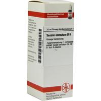 Secale Cornut D 6 null
