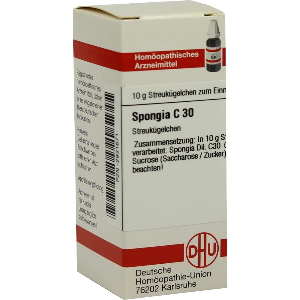 Spongia C30 null