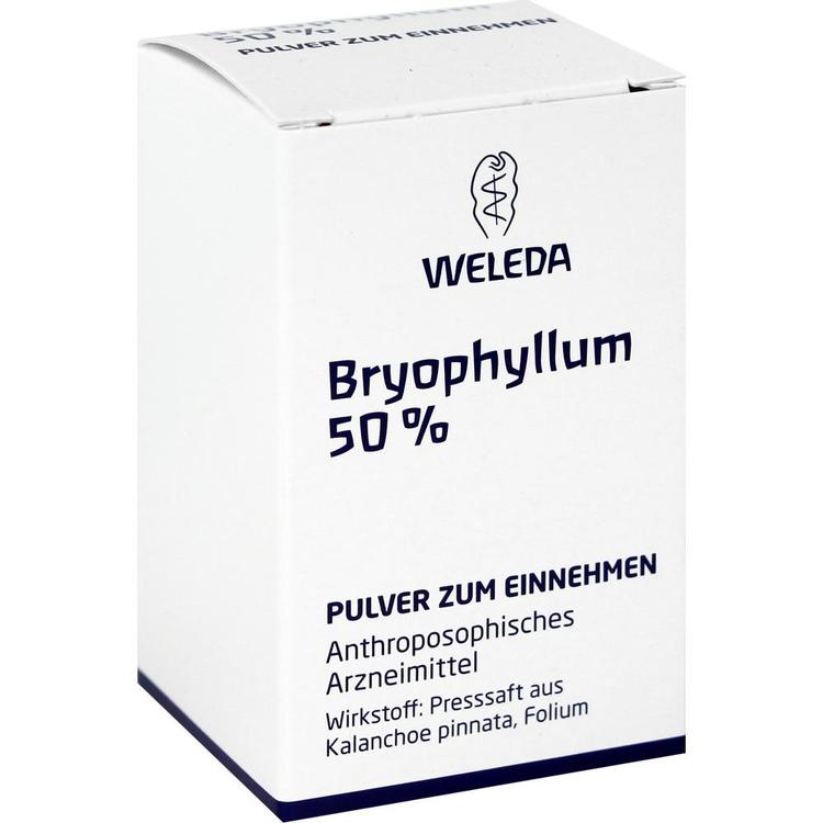 Thuja-Essenz 100 ml WALA Heilmittel bei onfy.de kaufen
