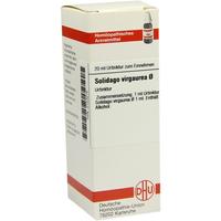 Solidago Virga Urt null
