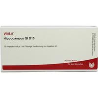 Hippocampus Gl D15 null