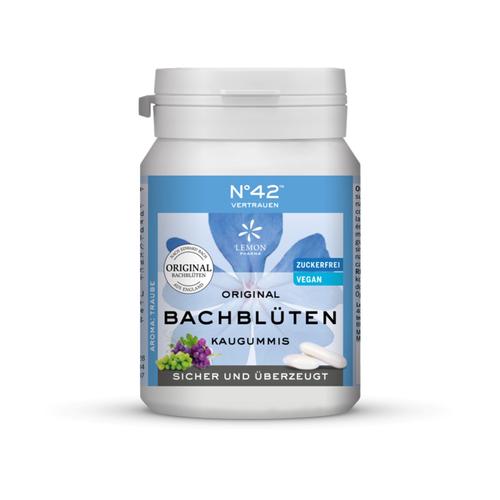 Selbstvertrauen Kaugummi nach Dr. Bach 40 St Hager Pharma bei onfy.de kaufen 03630428