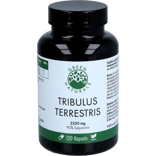 Green Naturals Tribulus Terrestris 2.250 mg Vegan 120 St Heilpflanzenwohl bei onfy.de kaufen 19973917