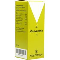 40 Convallaria H null