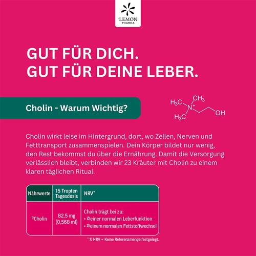 Bittertropfen mit Cholin 30 ml Hager Pharma bei onfy.de kaufen 20043951