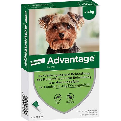 Advantage 40 Hund 4 St Elanco Deutschland Gmbh bei onfy.de kaufen 08613305