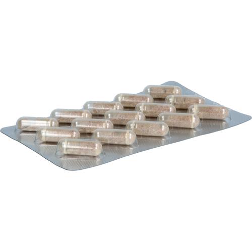 Eisen Köhler 15 St Köhler Pharma bei onfy.de kaufen 19466362