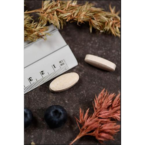 Vitamin C 1000 Plus Kal 250 St Supplementa bei onfy.de kaufen 15880343