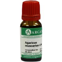 Agaricus Arca Lm 18 null