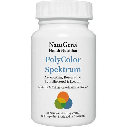 Polycolor Spektrum 120 St NatuGena bei onfy.de kaufen 16811284