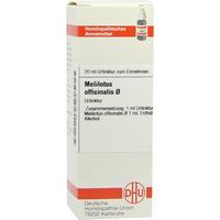 Melilotus Offic Urt null