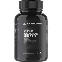 Cissus Quadrangularis Extrakt 2500 mg Vegan null