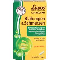 Luvos Gastrosan Blähungen & Schmerzen null