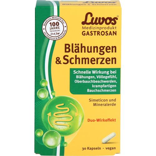 Luvos Gastrosan Blähungen & Schmerzen 30 St Heilerde-Gesellschaft Luvos Just bei onfy.de kaufen 19815940