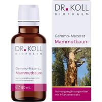 Gemmo-Mazerat Mammutbaum Dr. Koll Sequoia Gigantea null